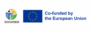 SOCIAREM Logo (Horizontal)